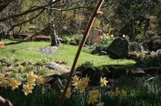 Secret Garden in Bloom
